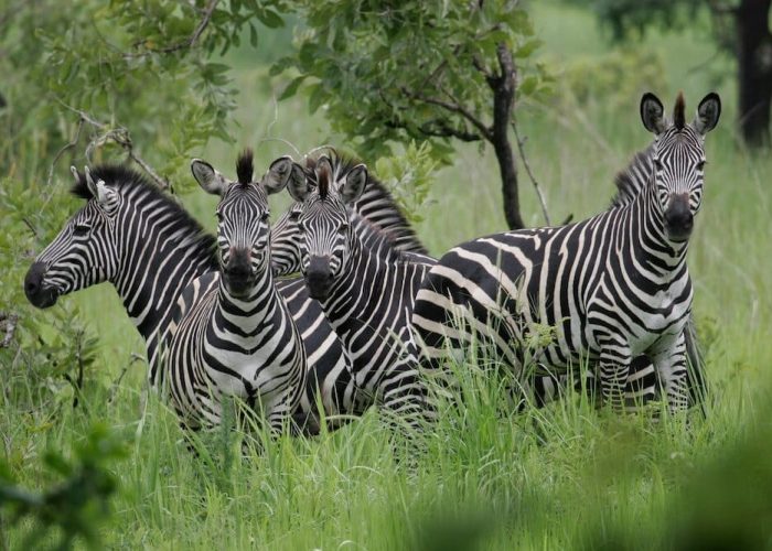 Arusha Grade one Tours1