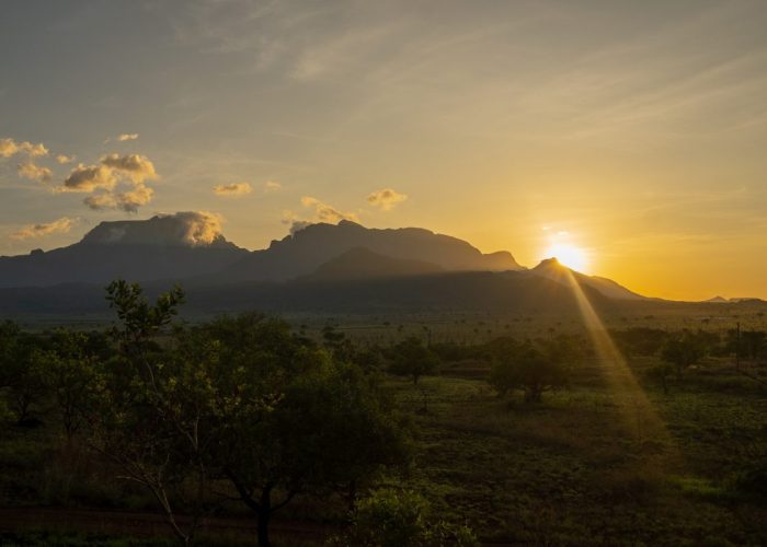 Mount Kilimanjaro national park1